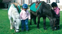 L'Equitation à poney pour les tous petits